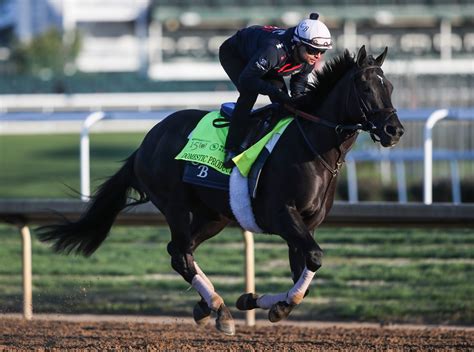fanduel racing kentucky derby|2024 Kentucky Derby Betting .
